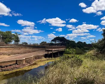 Vale dos Dinossauros, em Sousa, é reconhecido patrimônio material da Paraíba