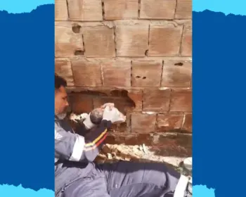 Bebê recém-nascido é encontrado em vão de paredes, em Caaporã, na Paraíba; VÍDEO