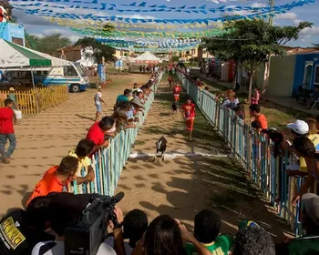 Festa do Bode Rei 2026: evento começa nesta quinta em Cabaceiras; veja programação
