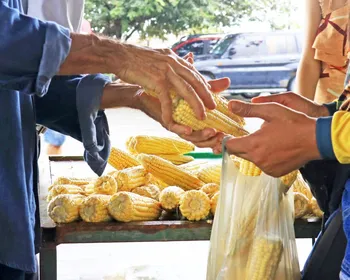 Festival do Milho reúne produtos juninos e agricultores na véspera de São João, em João Pessoa