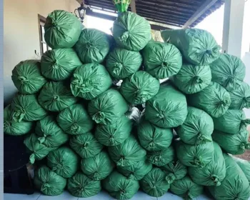 Homem é preso com mais de 400 kg de drogas durante operação da PM, em Sumé