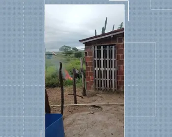 Homem é preso suspeito de matar cachorro lançado em fogueira, em Queimadas
