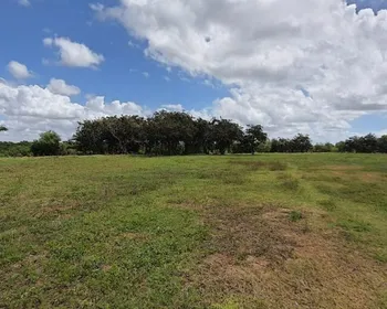 Parque do Roger: após paralisar obra, Prefeitura apresenta defesa ao TCE de contrato milionário