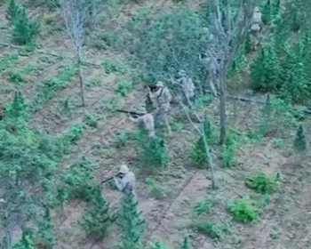 Plantação de maconha com 18 mil pés é incinerada em Monteiro e um suspeito é preso