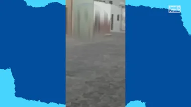 Ex-vereador de Pirpirituba é preso suspeito de agredir cachorro; VÍDEO