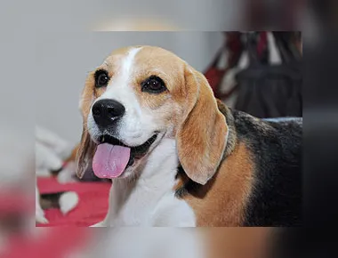 A morte de uma benfeitora da humanidade e a lembrança de Oona