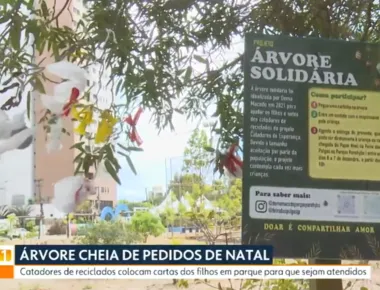 Árvore de Natal solidária: cartinhas de crianças são colocadas em parque de João Pessoa
