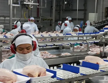 Brasil entra em 2026 pisando no freio, mas Paraíba segue acelerando; entenda o contraste