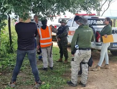 Desmatamento ilegal: 15 propriedades são autuadas em operação na Paraíba