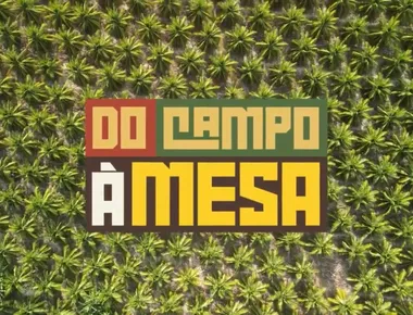 Do Campo à Mesa destaca o coco e mostra como o fruto movimenta a economia e a culinária paraibana