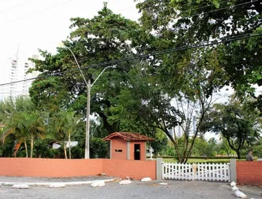 Gastos com alimentos na Granja Santana crescem 45% em 2 anos e TCE reprova contas da Casa Civil