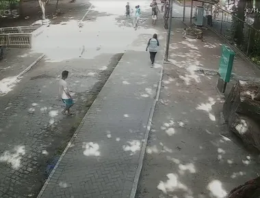 Novas imagens mostram jovem antes de entrar no recinto de leoa na Bica; VÍDEO