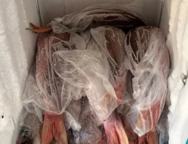 Operação no Litoral da Paraíba interdita bar e autua outro durante fiscalização