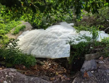 MPPB entra na Justiça por danos ambientais na Bacia do Rio Jaguaribe