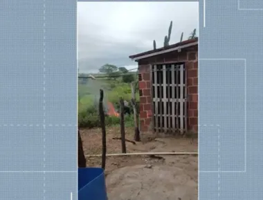 Homem é indiciado suspeito de espancar cachorro e jogar animal em fogueira, em Queimadas