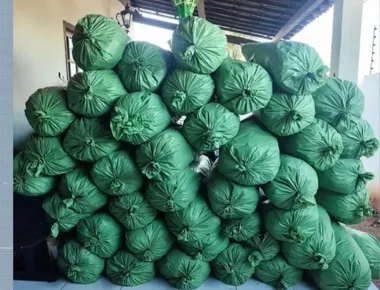 Homem é preso com mais de 400 kg de drogas durante operação da PM, em Sumé