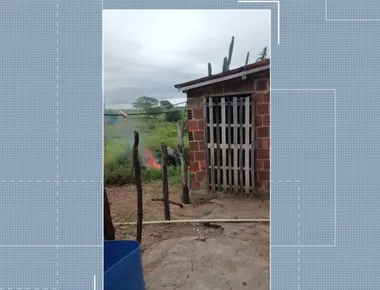 Justiça mantém preso homem suspeito de espancar cachorro e jogá-lo em fogueira em Queimadas