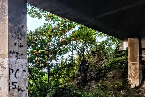 
				
					A novilíngua do terror
				
				