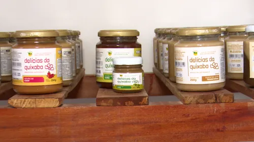 
				
					Nordeste na COP 30: veja propostas, expectativas e presença paraibana no evento internacional
				
				