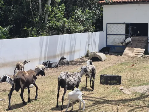 
				
					Alta estação eleva pressão ambiental: produção de lixo cresce 30% com avanço do turismo na PB
				
				