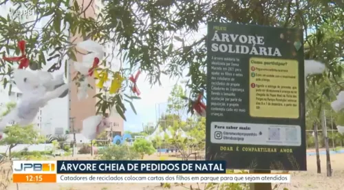 
				
					Árvore de Natal solidária: cartinhas de crianças são colocadas em parque de João Pessoa
				
				
