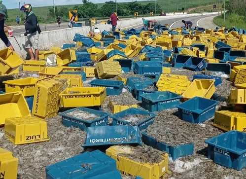 
				
					Caminhão com carga de camarão tomba e interdita BR-101, em Santa Rita
				
				