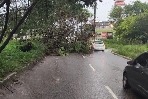 
				
					Cratera se abre e interdita parcialmente ladeira que liga Bancários ao Altiplano, em João Pessoa
				
				