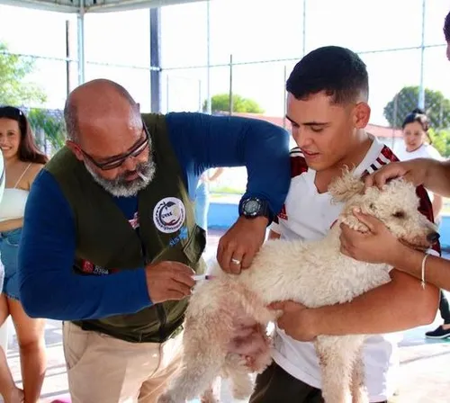 
				
					Dia D de vacinação contra raiva animal na Paraíba acontece hoje
				
				