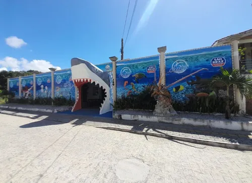 
Dicas de passeios em dias chuvosos na Paraíba

