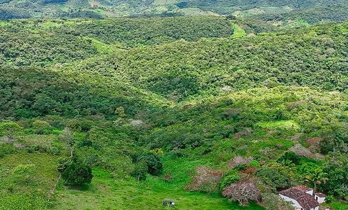 
				
					Doze proprietários de áreas com Mata Atlântica são autuados por desmatamento, na Paraíba
				
				