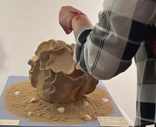 
				
					Exposição 'Quando A Linha Se Faz Caminho'  em João Pessoa
				
				