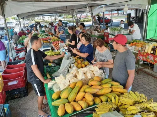 
				
					Feira Móvel terá programação em seis pontos de João Pessoa durante dezembro
				
				