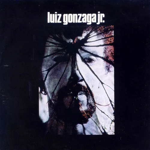 
				
					Gonzaguinha, 80 anos, em 10 discos
				
				