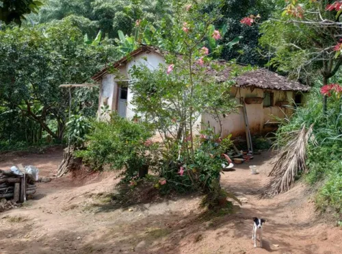 
				
					Governo Federal desapropria terras de antigo engenho para regularizar terreno quilombola em Areia
				
				
