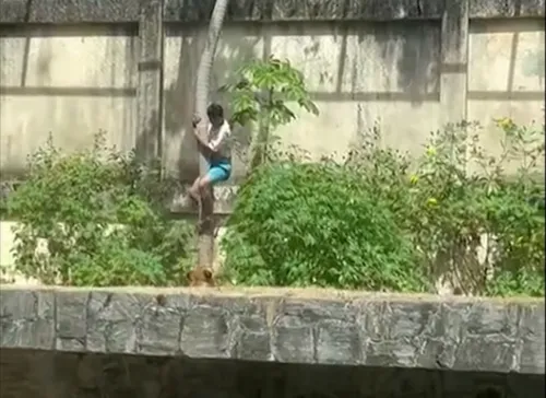 
				
					Justiça determinou mais de uma vez internação do homem que morreu ao entrar no recinto de leoa
				
				