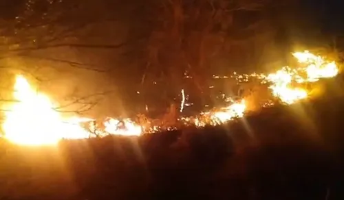 
				
					Incêndio atinge Vale dos Dinossauros em Sousa e parque tem atividades suspensas
				
				