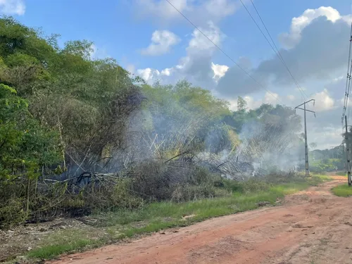 
				
					Incêndio atinge entrada do município de Lucena
				
				