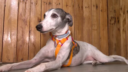 
				
					JPB1 estreia série 'É da Família' nesta terça-feira (7)
				
				