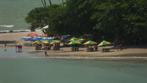 
				
					JPB1 estreia série especial sobre os impactos das  mudanças climáticas na PB
				
				
