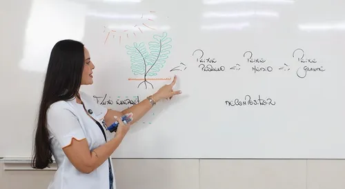 
				
					Lá Vem o Enem: videoaula de biologia explica fluxos de energia e matéria
				
				