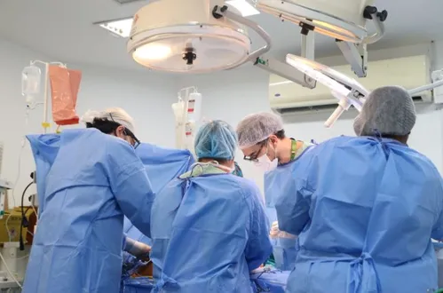 
				
					Lei torna obrigatório que Secretaria de Saúde transporte candidatos ao transplante de órgãos
				
				