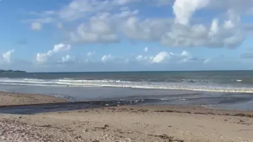 
				
					MPPB abre investigação para saber causas de manchas no mar em João Pessoa e Cabedelo
				
				