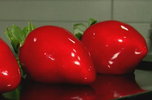 
				
					Morango do amor, bebê reborn e Labubu: relembre virais e modinhas de 2025
				
				