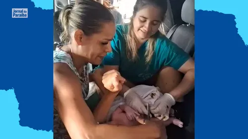 
				
					Mulher dá à luz em carro por não conseguir entrar em hospital durante chuvas em João Pessoa
				
				