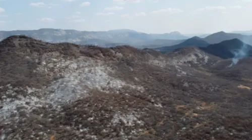 
				
					Operação para combater incêndio no Sertão da Paraíba passa a ter monitoramento via satélite
				
				