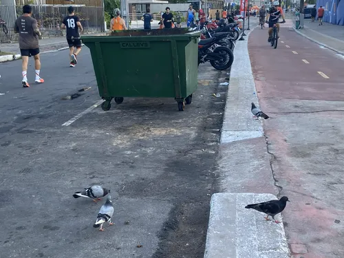 
				
					OPINIÃO: está na hora da prefeitura de JP dar uma solução nos tonéis de lixo (fedidos) da orla
				
				