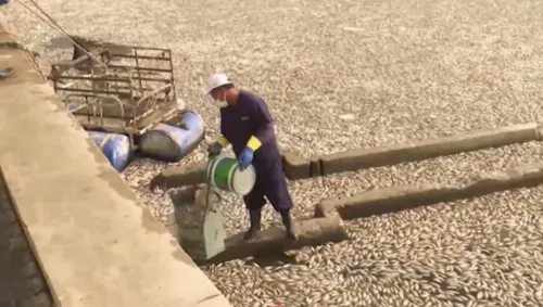 
				
					PMCG notifica nove imóveis por despejo irregular de esgoto no Açude Velho
				
				