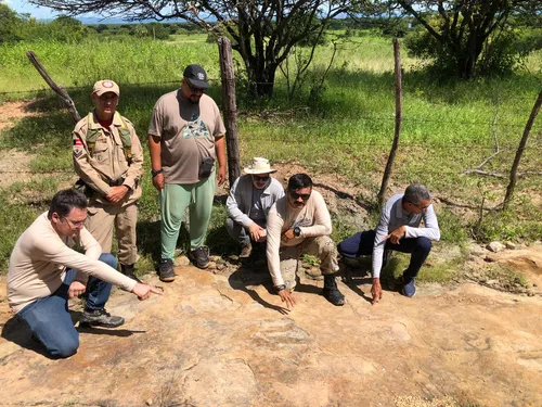 
				
					Pesquisa aponta descoberta da maior pegada de dinossauro do Brasil em Sousa, na Paraíba
				
				