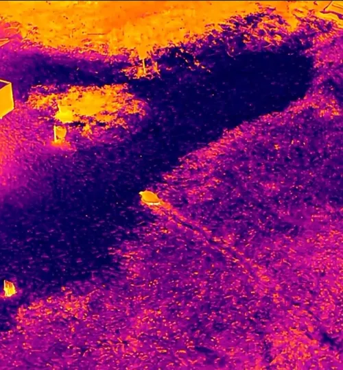 
				
					Pesquisadores da UFPB registram assinatura térmica de tartaruga durante desova
				
				
