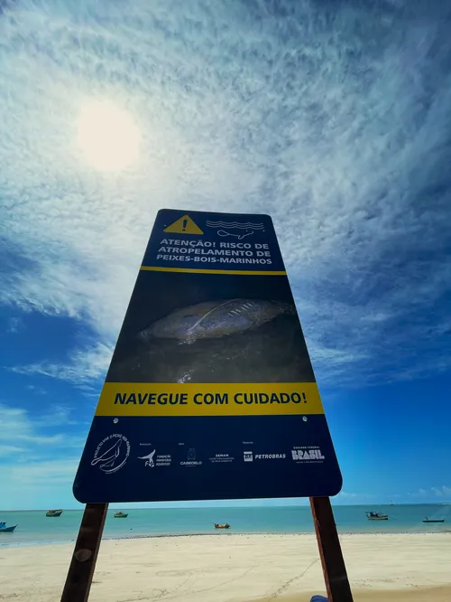 
				
					Placas alertam sobre risco de atropelamento de peixes-bois na orla de Cabedelo
				
				